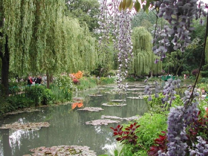 Trabajo realizado por Decojardinyparque