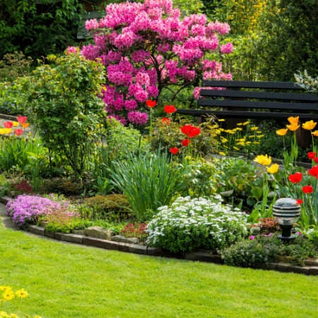 Trabajo realizado por Decojardinyparque